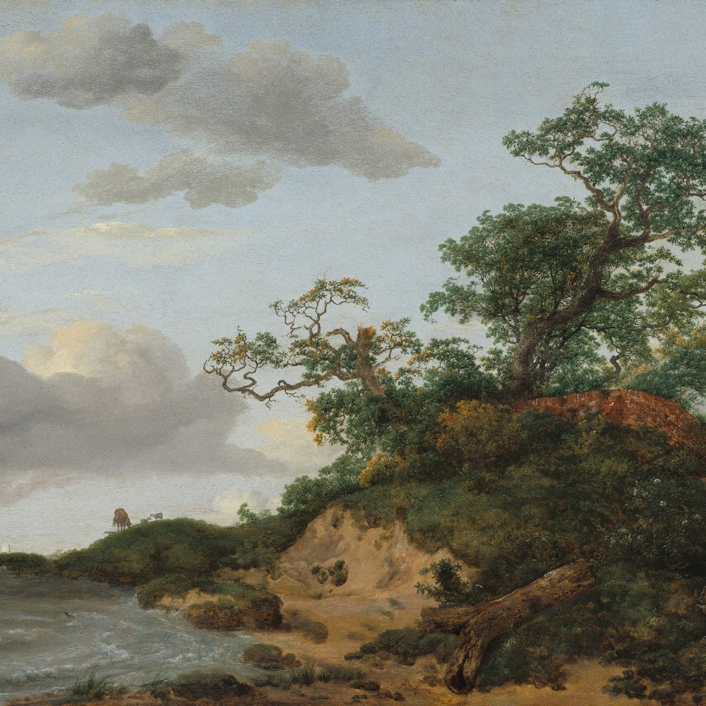 Meet your Posher, Abigail